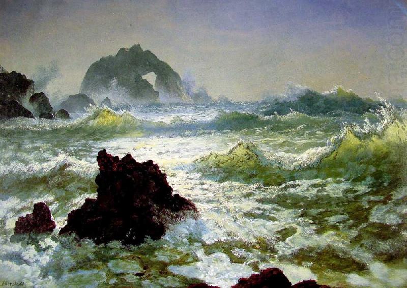 Albert Bierstadt Seal Rock, California china oil painting image